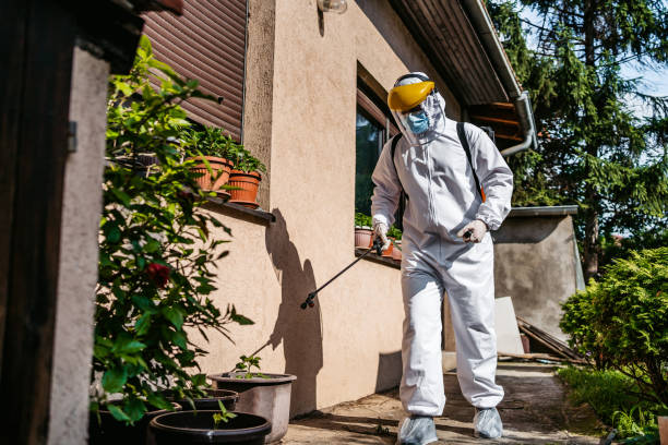 Best Pest Removal Services  in Augusta, AR