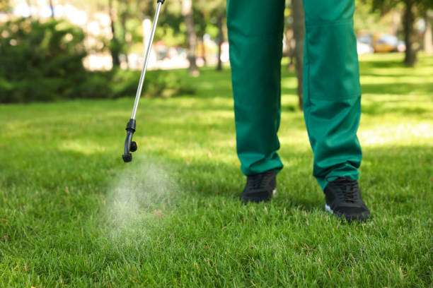 Professional Pest Control in Augusta, AR