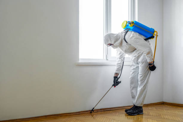 Best Emergency Pest Control  in Augusta, AR