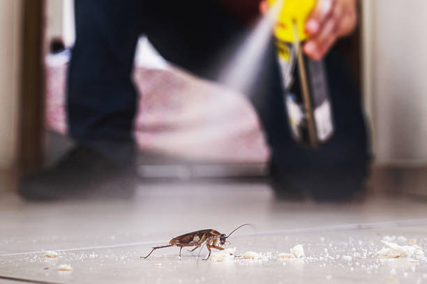 Best Local Pest Control Services  in Augusta, AR